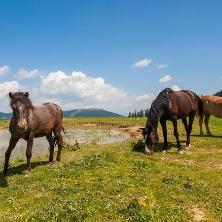 Weiss Sport & Relax - Happy *