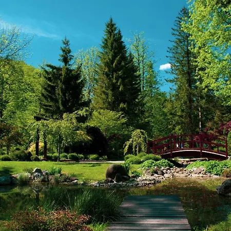 Weiss Sport & Relax - Happy