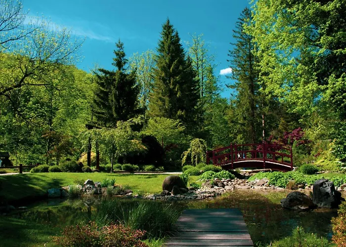 Weiss Sport & Relax - Happy